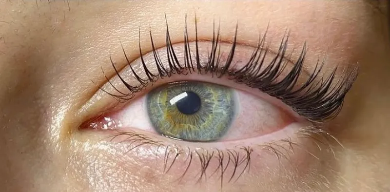 Beauté du regard